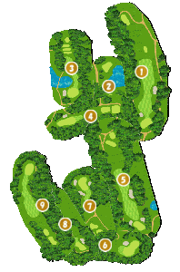 コース全体俯瞰図