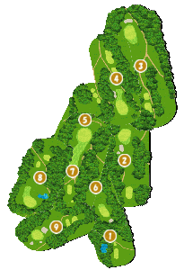 コース全体俯瞰図