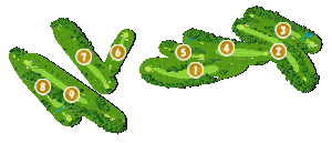 コース全体俯瞰図