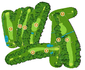 コース全体俯瞰図