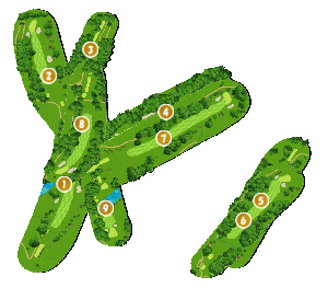 コース全体俯瞰図