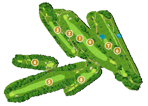 コース全体俯瞰図