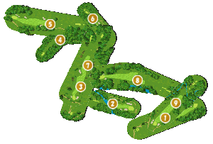 コース全体俯瞰図