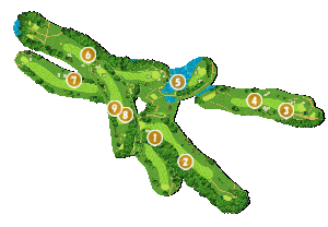 コース全体俯瞰図