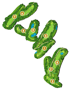 コース全体俯瞰図