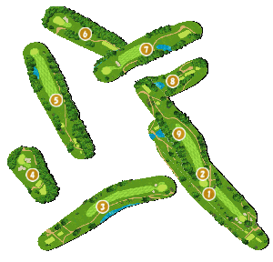 コース全体俯瞰図