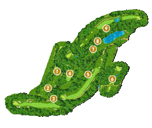 コース全体俯瞰図