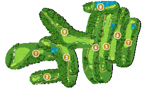 コース全体俯瞰図