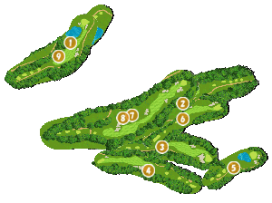 コース全体俯瞰図