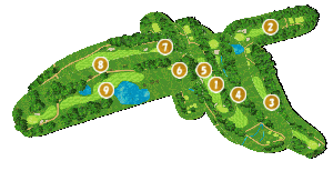 コース全体俯瞰図