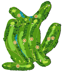 コース全体俯瞰図