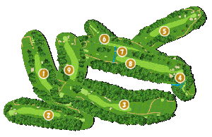 コース全体俯瞰図