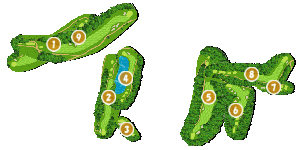 コース全体俯瞰図