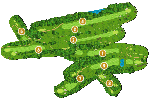 コース全体俯瞰図