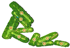 コース全体俯瞰図