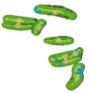 コース全体俯瞰図