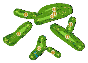 コース全体俯瞰図