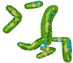 コース全体俯瞰図