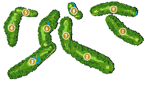 コース全体俯瞰図