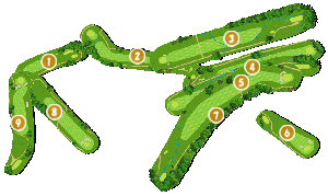 コース全体俯瞰図