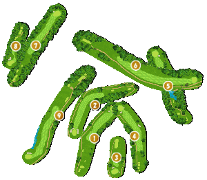 コース全体俯瞰図