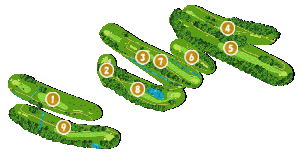 コース全体俯瞰図