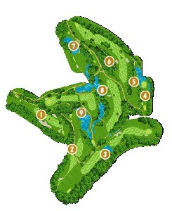 コース全体俯瞰図