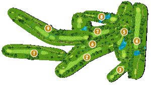 コース全体俯瞰図