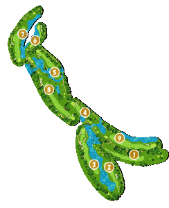 コース全体俯瞰図