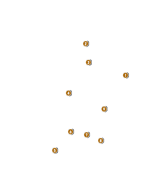 コース全体俯瞰図