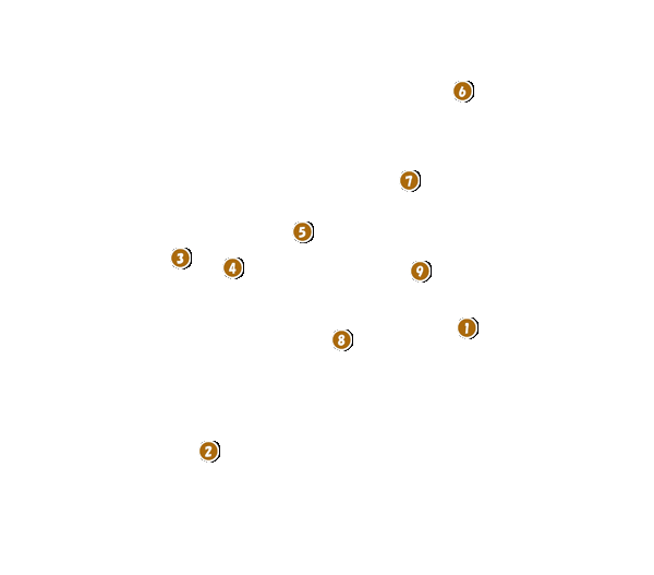 コース全体俯瞰図