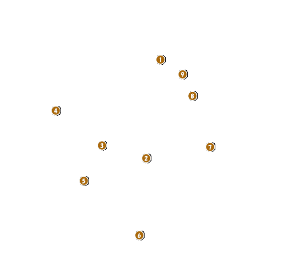 コース全体俯瞰図