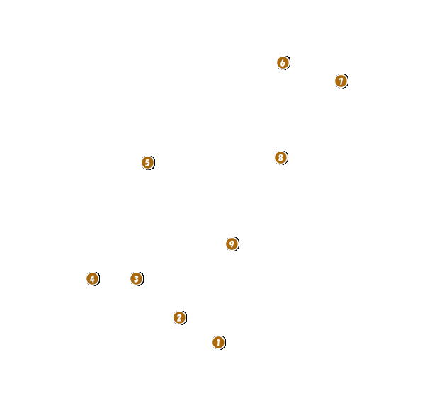 コース全体俯瞰図