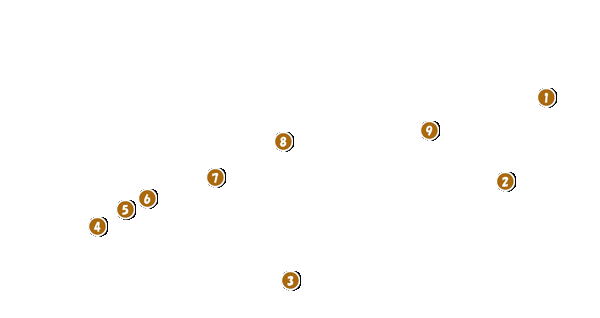 コース全体俯瞰図