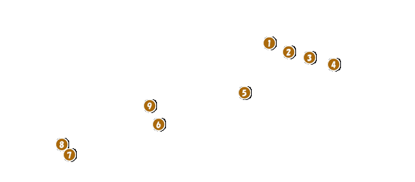 コース全体俯瞰図