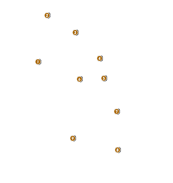 コース全体俯瞰図