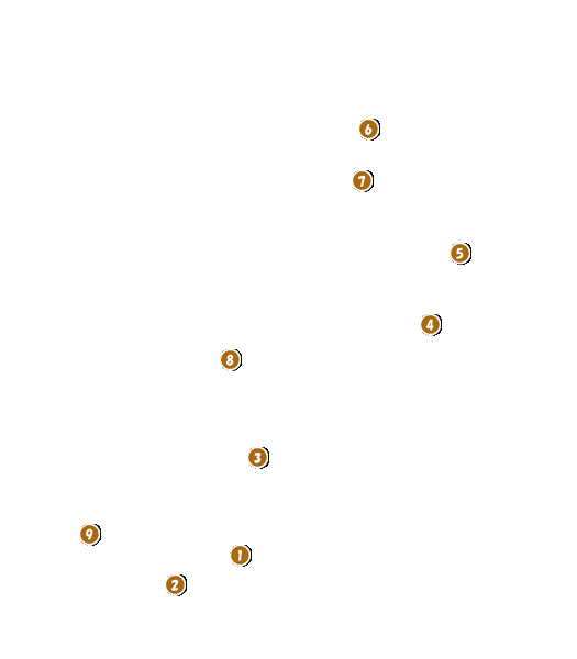 コース全体俯瞰図