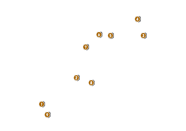 コース全体俯瞰図