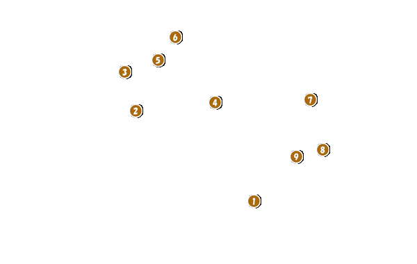 コース全体俯瞰図