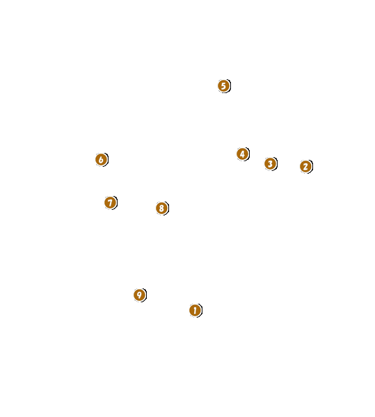 コース全体俯瞰図