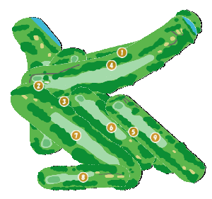 コース全体俯瞰図