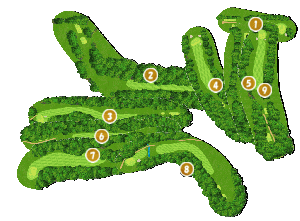 コース全体俯瞰図