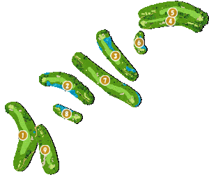 コース全体俯瞰図