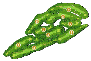 コース全体俯瞰図