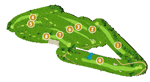 コース全体俯瞰図