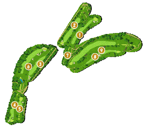 コース全体俯瞰図