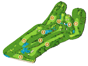 コース全体俯瞰図