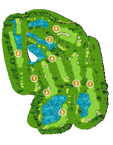 コース全体俯瞰図
