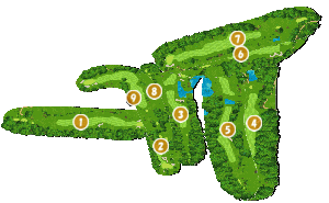 コース全体俯瞰図