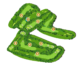 コース全体俯瞰図